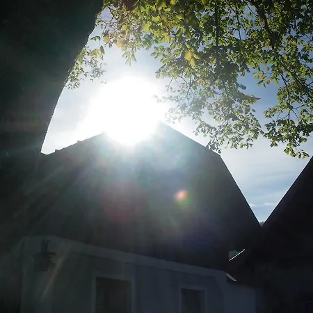 Bauernhof Bio-bauernhof Kurzeck