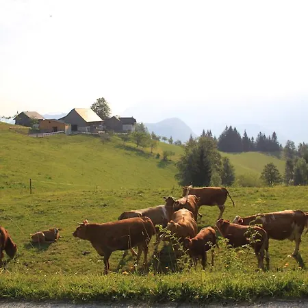 Bauernhof Bio-bauernhof Kurzeck *
