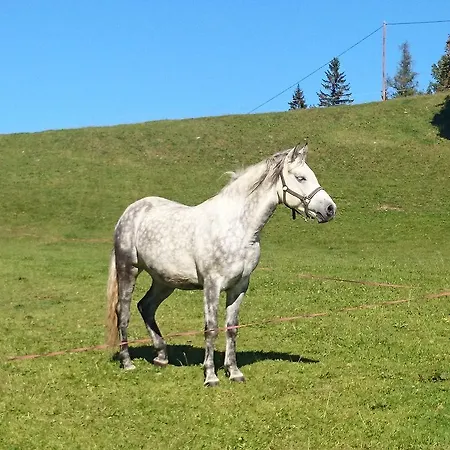 Bio-bauernhof Kurzeck Farmház Göstling an der Ybbs