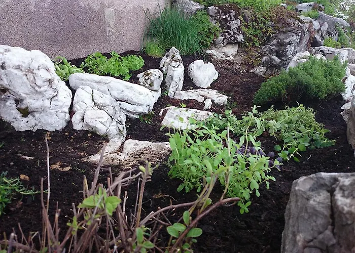 Bio-bauernhof Kurzeck *